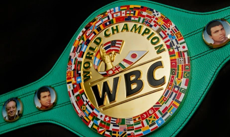WBC выступил с заявлением о трансгендерах в боксе 