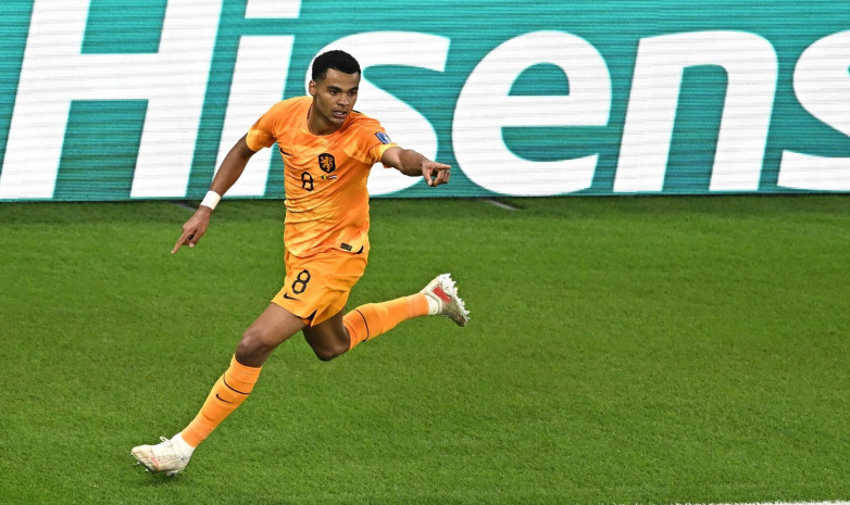 Гакпо выводит оранжевых вперед на стартовых минутах матча. Нидерланды — Эквадор
