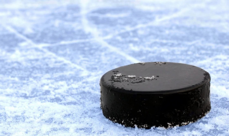 Результаты матчей чемпионата Казахстана по хоккею за 17 января