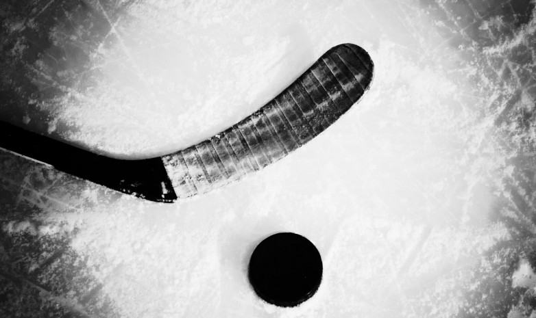 Хоккеист отметелил по голове клюшкой соперника в казахстанской любительской лиге
