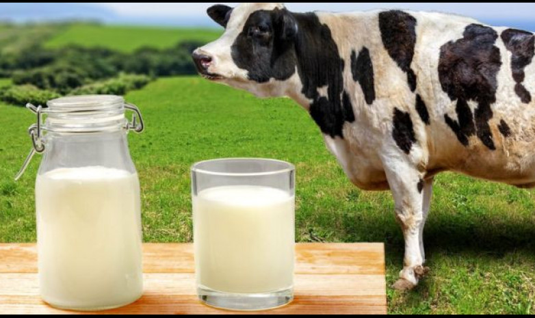 Что будет, если каждый день пить молоко?